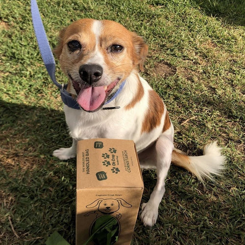 Oh Crap - Australia's No1 Non-Plastic Compostable Dog Poop Bag